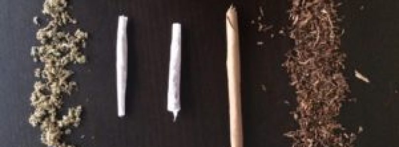 Would You Rather Have Joints, Blunt Or Spliff?