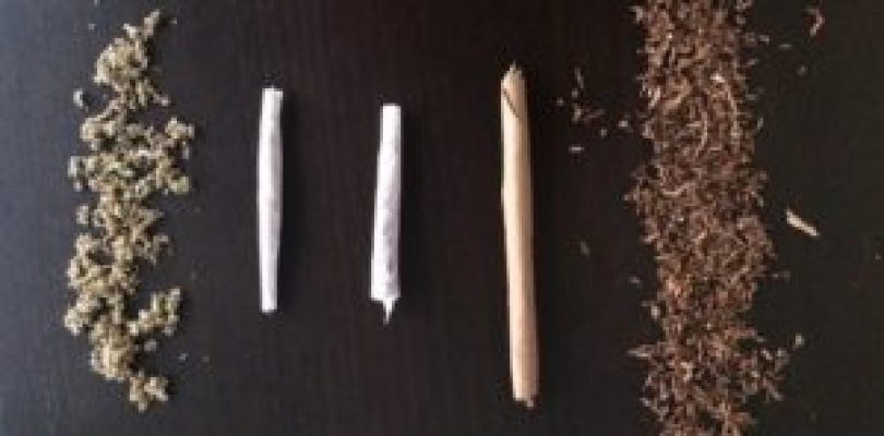Would You Rather Have Joints, Blunt Or Spliff?