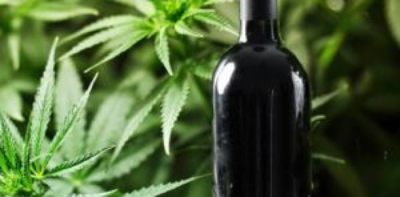 Marijuana Wine, A New Breed Of Wine